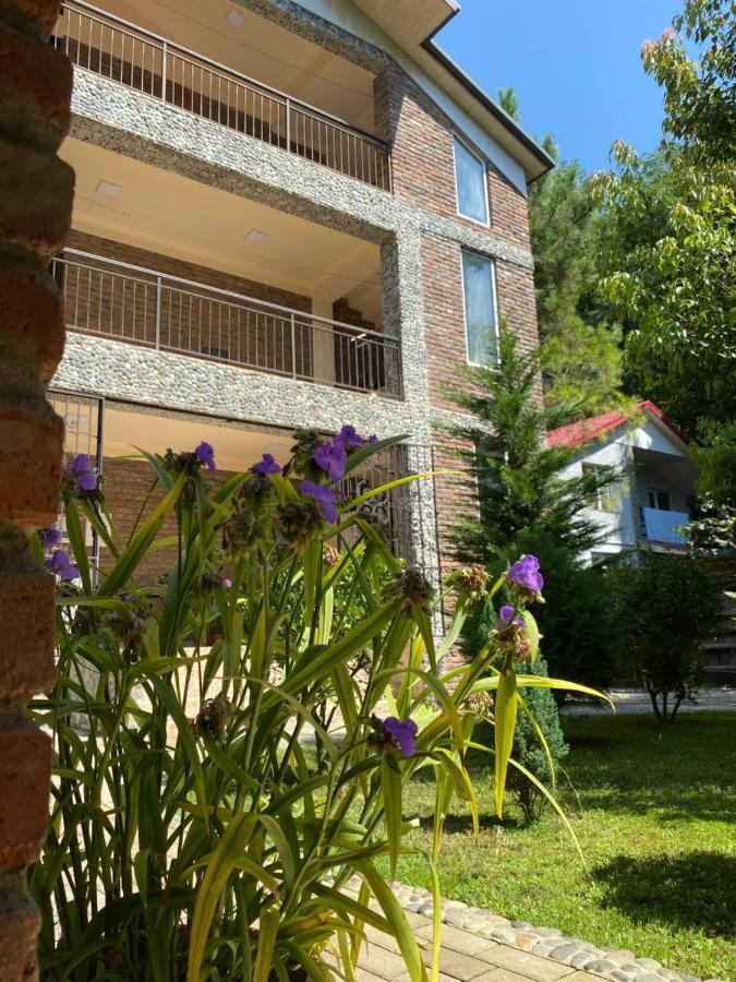 Guest House Shekvetili Luaran gambar